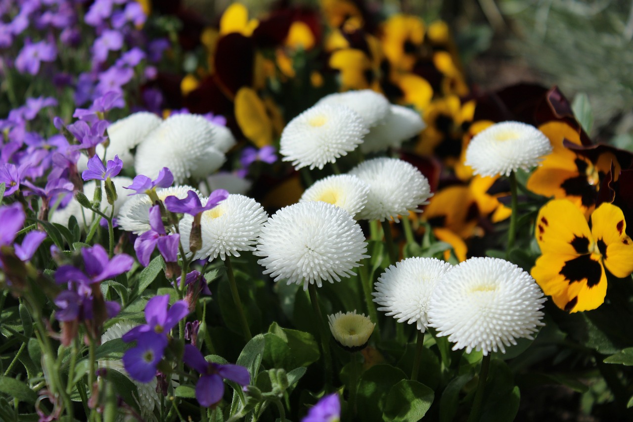 Creating a Garden Inspired by the English Countryside